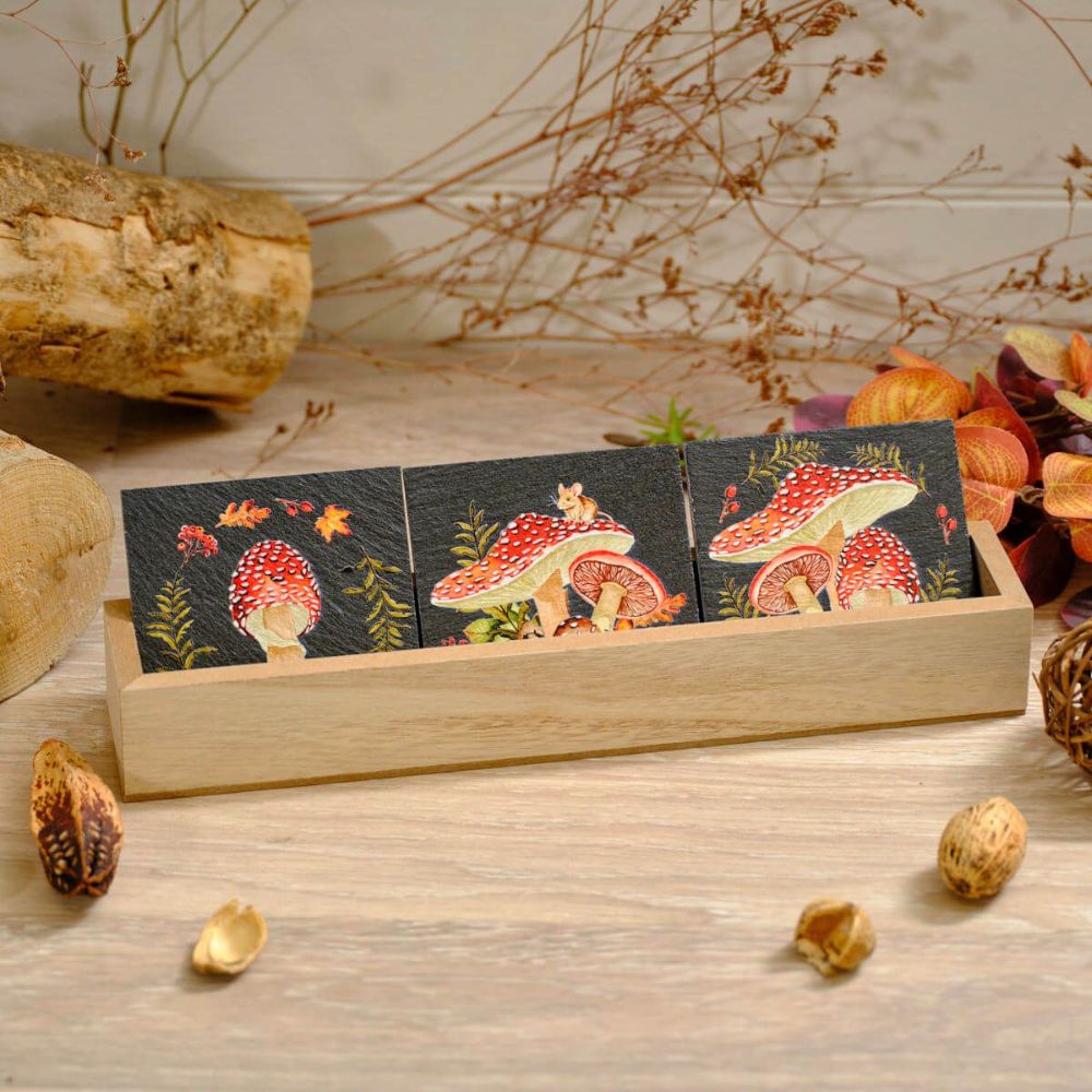 Richard Langs Toadstool Mushroom Slate Coasters - (Choice of 3)