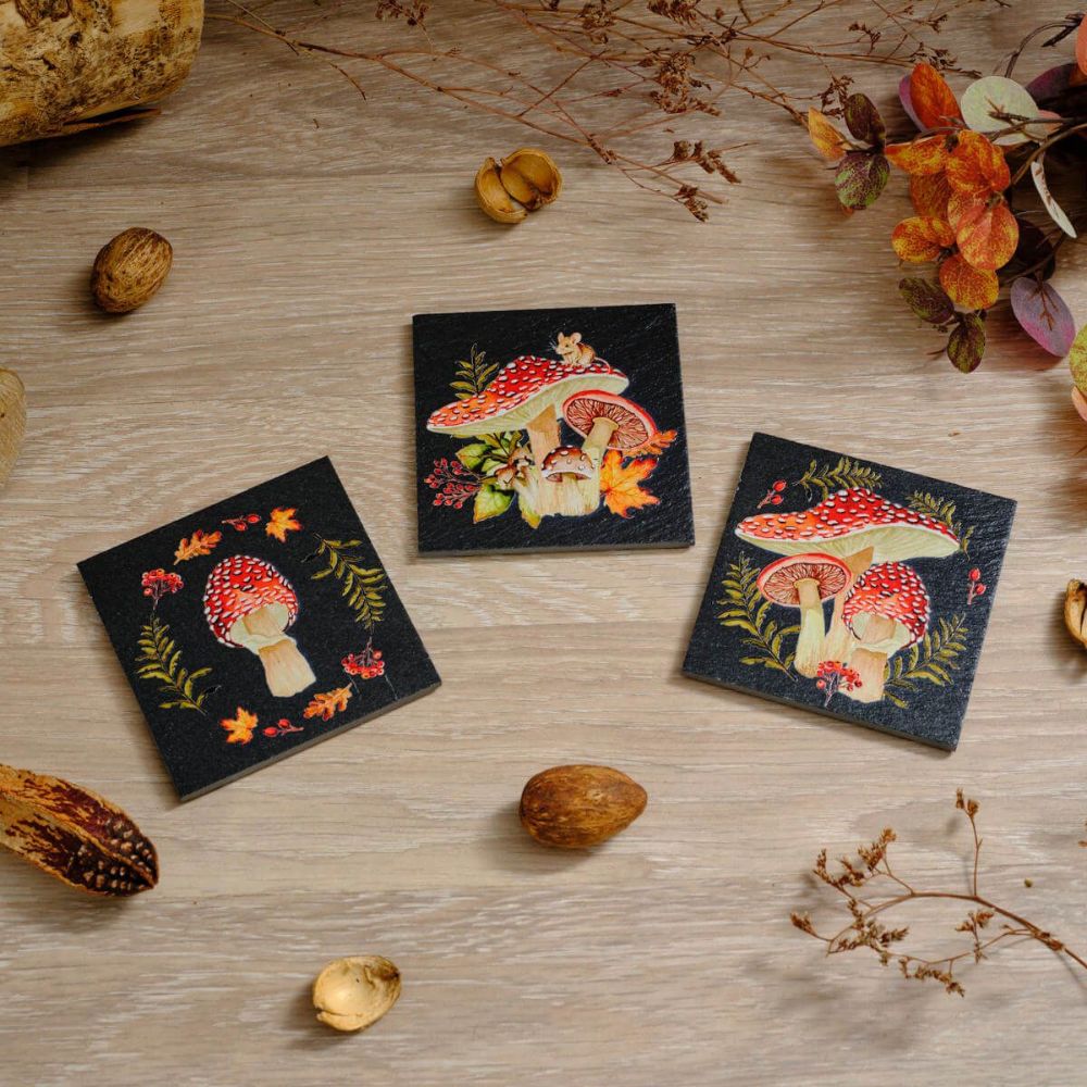 Richard Langs Toadstool Mushroom Slate Coasters - (Choice of 3)