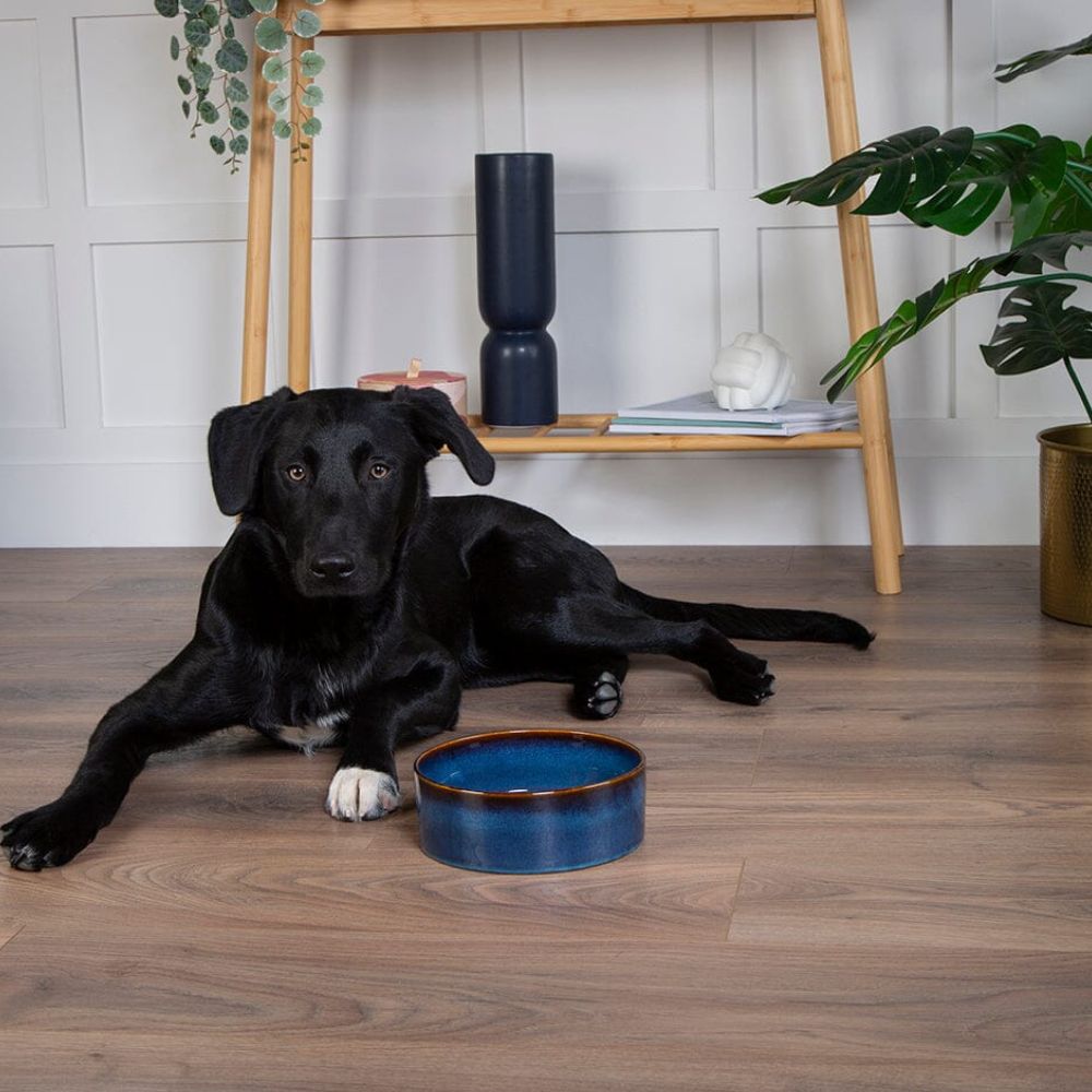 Scruffs 19cm Reactive Glaze Food/Water Bowel - Midnight Blue