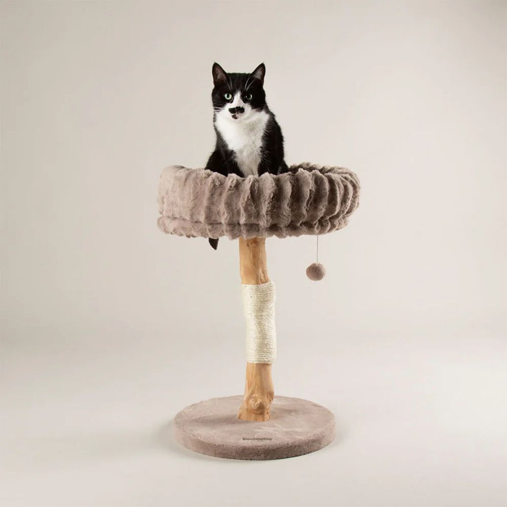 Scruffs Appalachians Cat Scratching Tree - Taupe