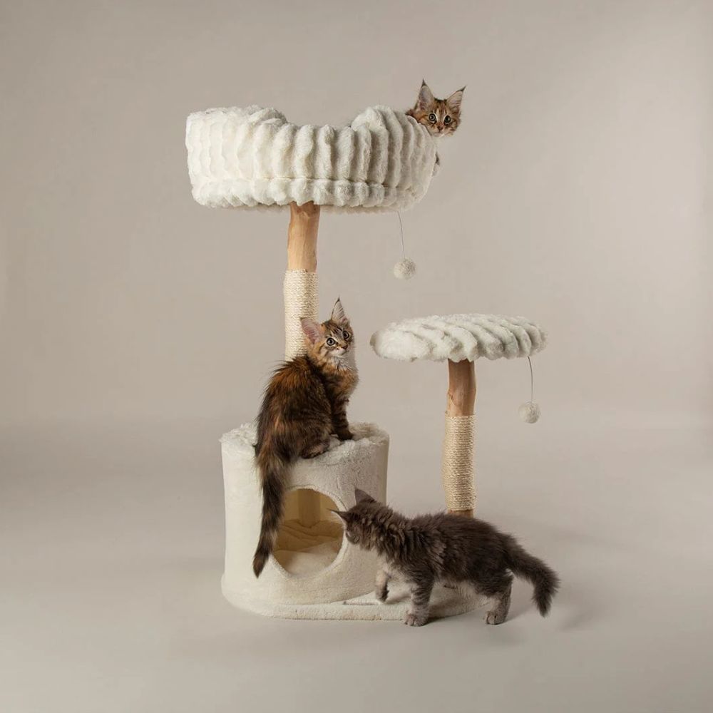 Scruffs Colorado Cat Scratching Tree - Cream