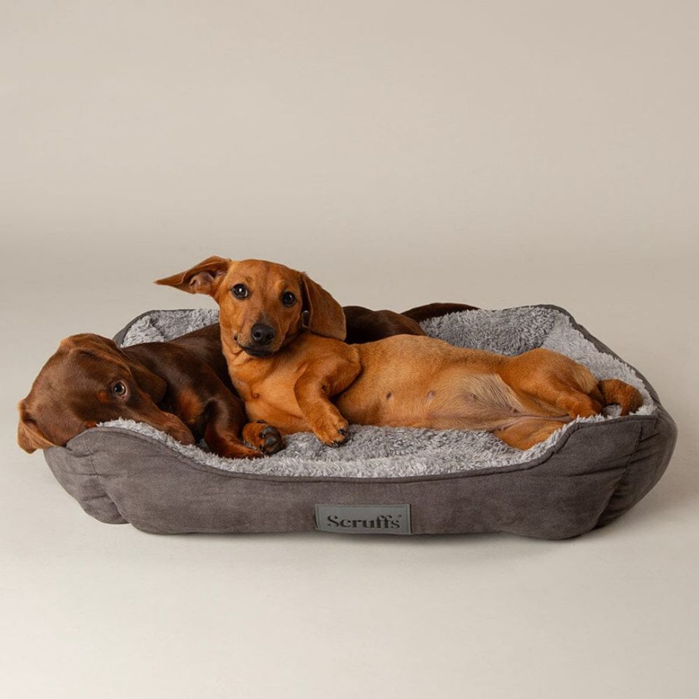 Scruffs Cosy Soft-Walled Grey Dog Bed - Small