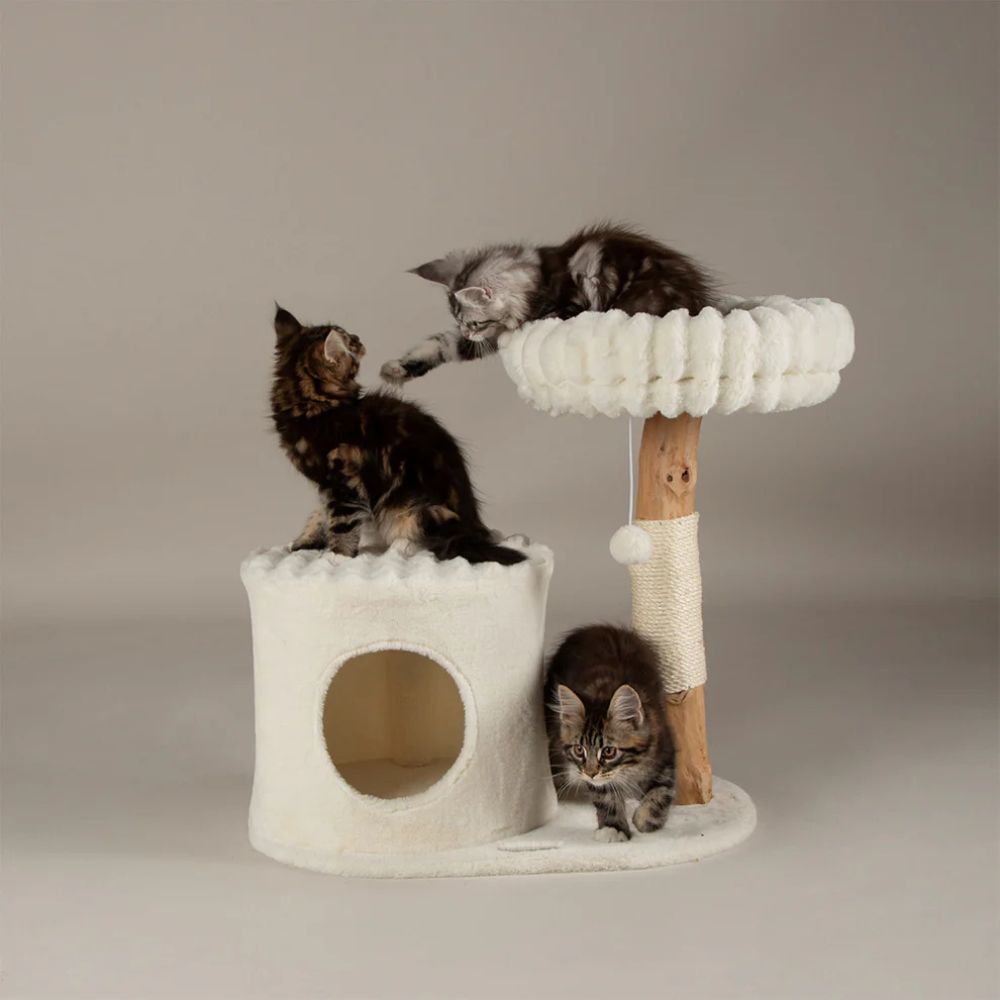 Scruffs Himalayas Cat Scratching Tree - Cream