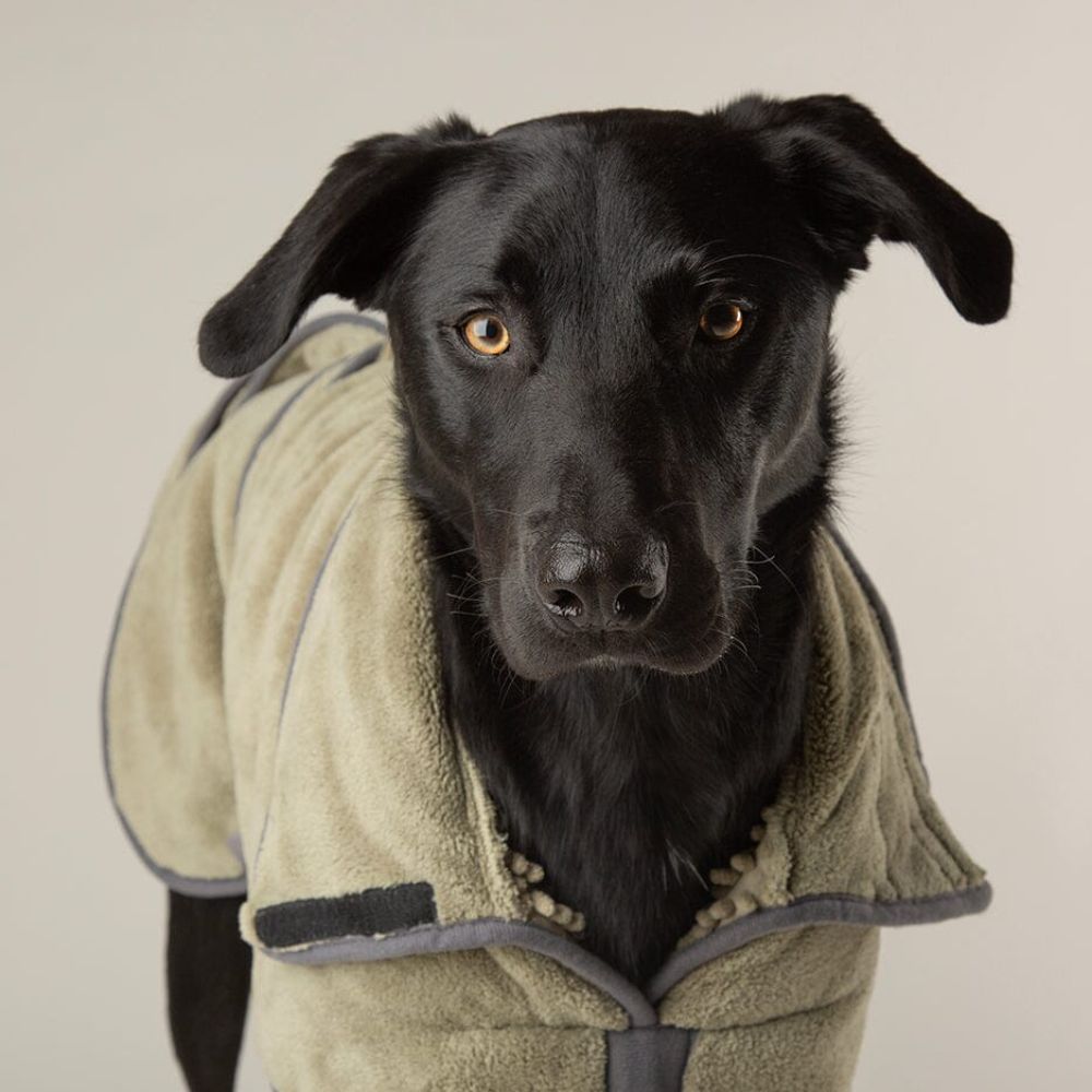 Scruffs Khaki Green Expedition Deluxe Noodle & Microfibre Dog Drying Coat - Large
