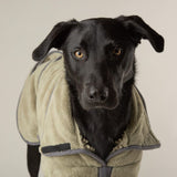 Scruffs Khaki Green Expedition Deluxe Noodle & Microfibre Dog Drying Coat - Large