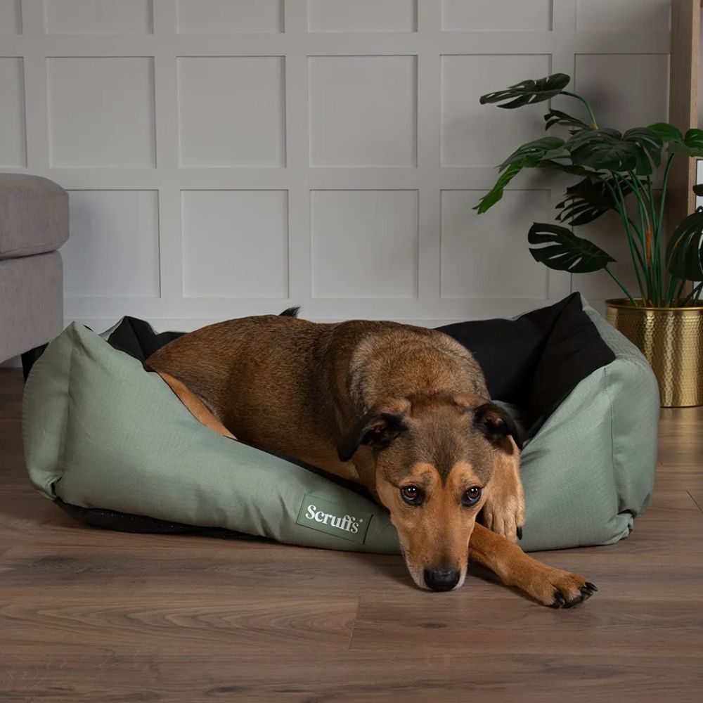 Scruffs Large Expedition Box Bed - Khaki Green