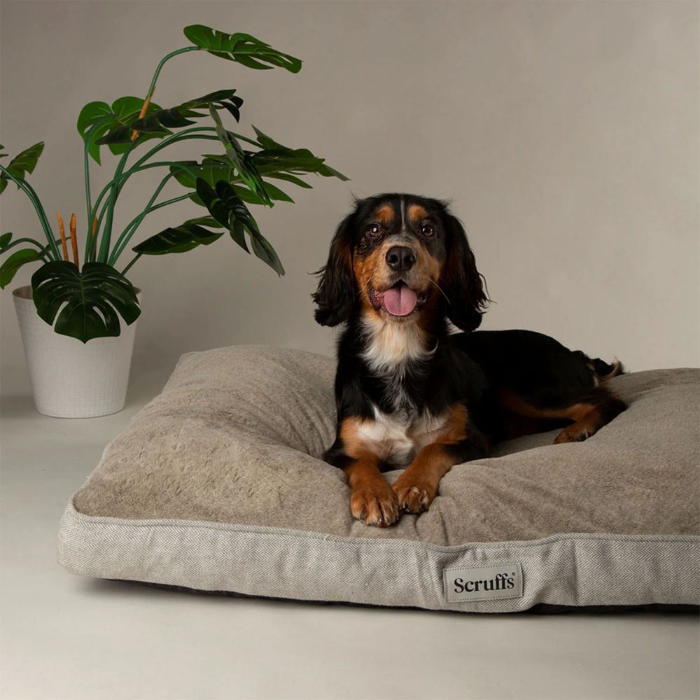 Scruffs Large Harvard Memory Foam Orthopaedic Mattress - Pearl Grey