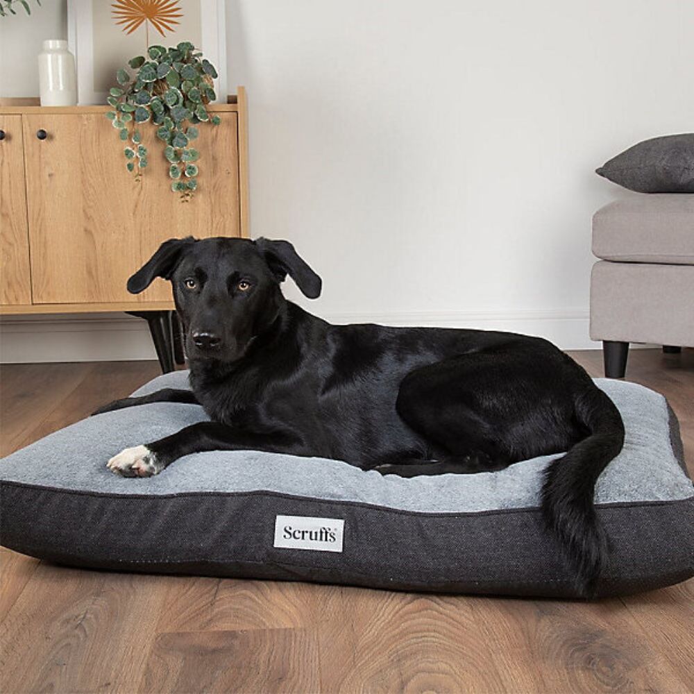 Scruffs Xtra Large Harvard Memory Foam Orthopaedic Mattress - Graphite Grey