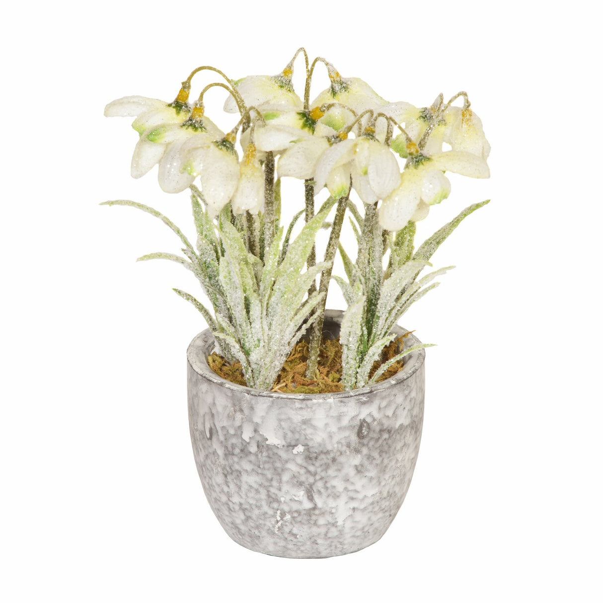 Sincere Floral 18cm Frosted Artificial Snowdrops in Pot