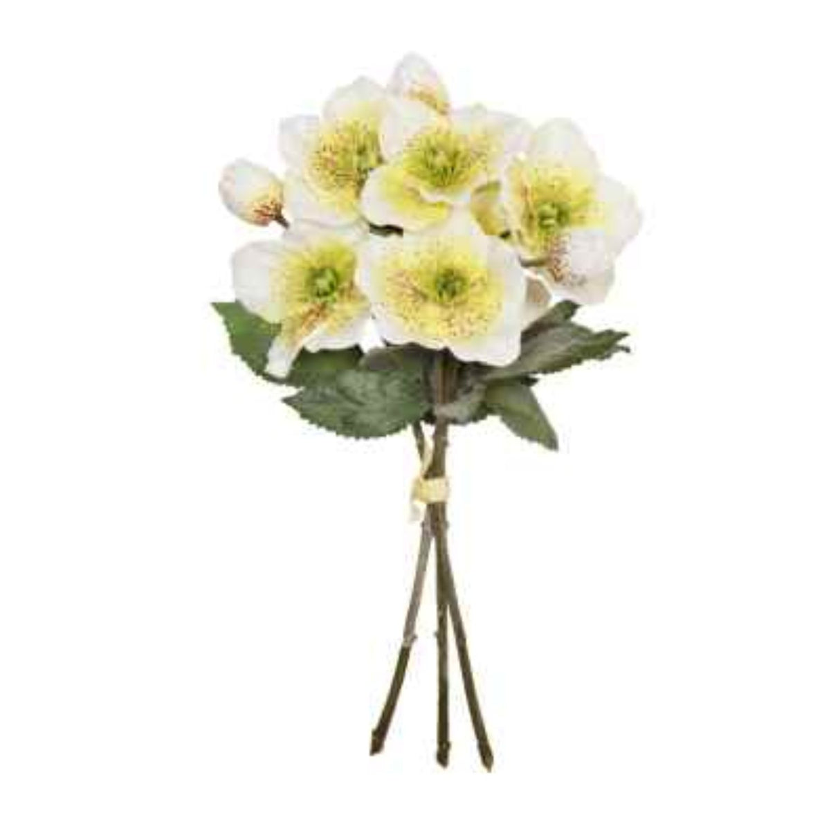 Sincere Floral 34cm Cream Hellebores