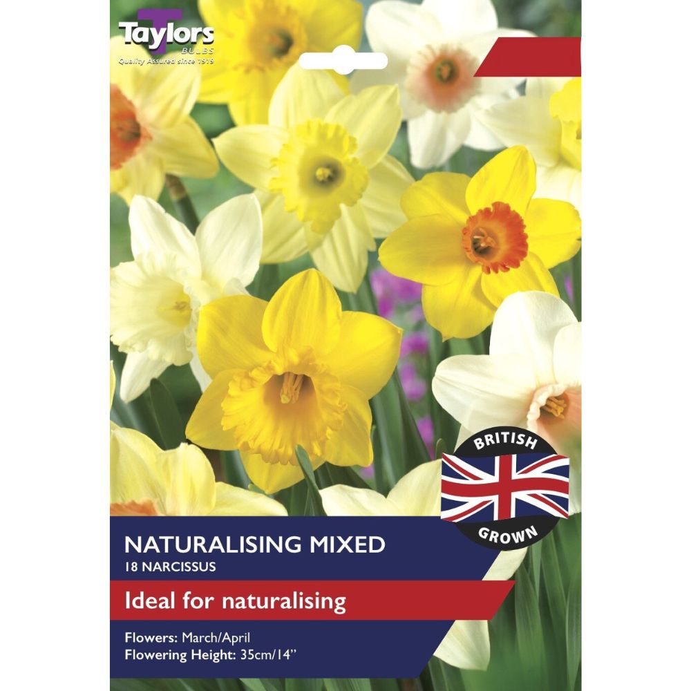 Taylors 18 Naturalising Daffodil Mix Spring Flowering Bulbs