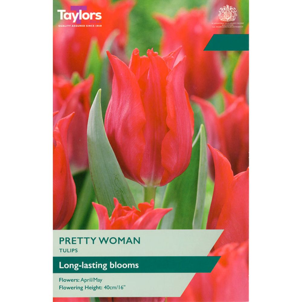 Taylors 7 Pretty Woman Tulip Bulbs