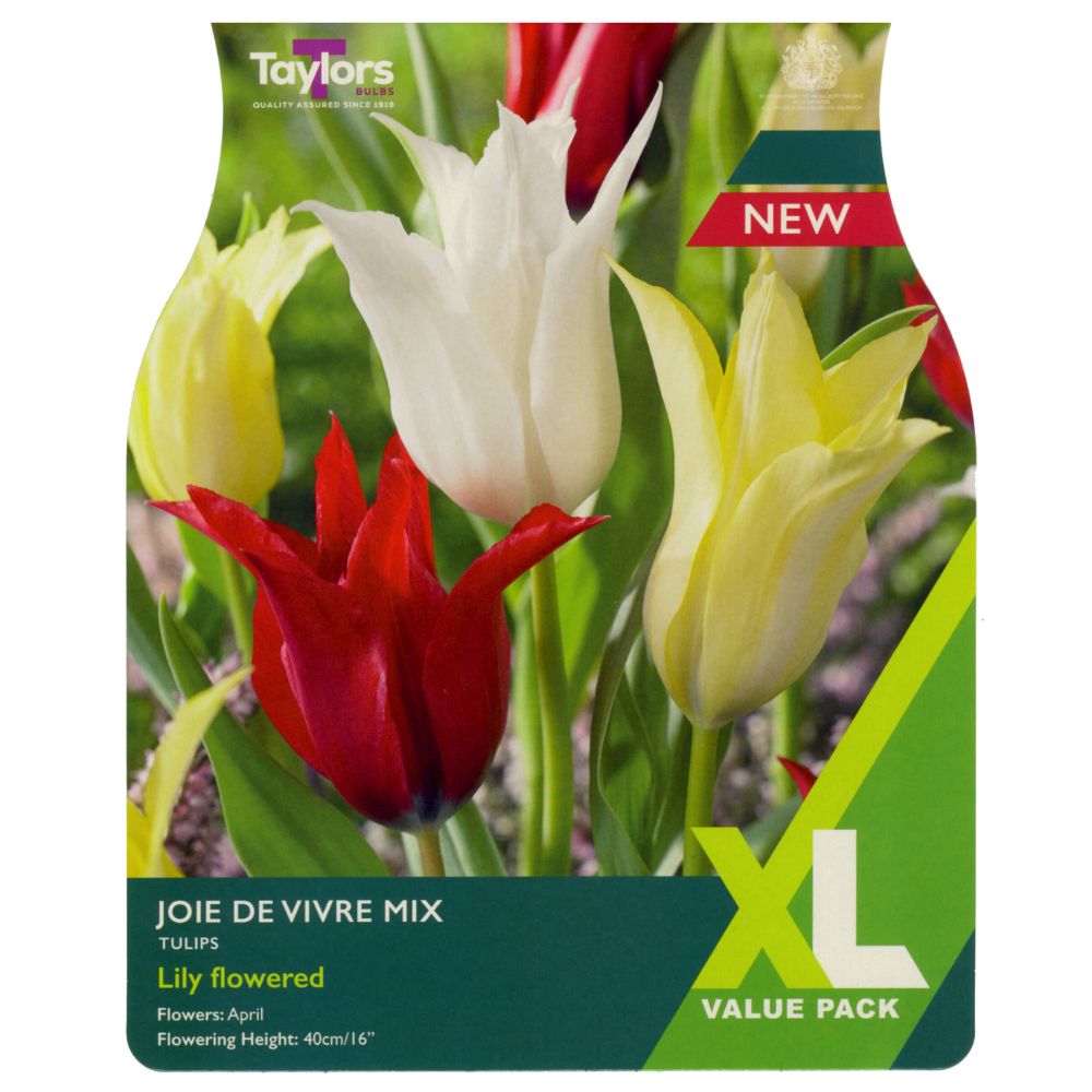 Taylors XL Joie De Vivre Tulip Mix Bulbs