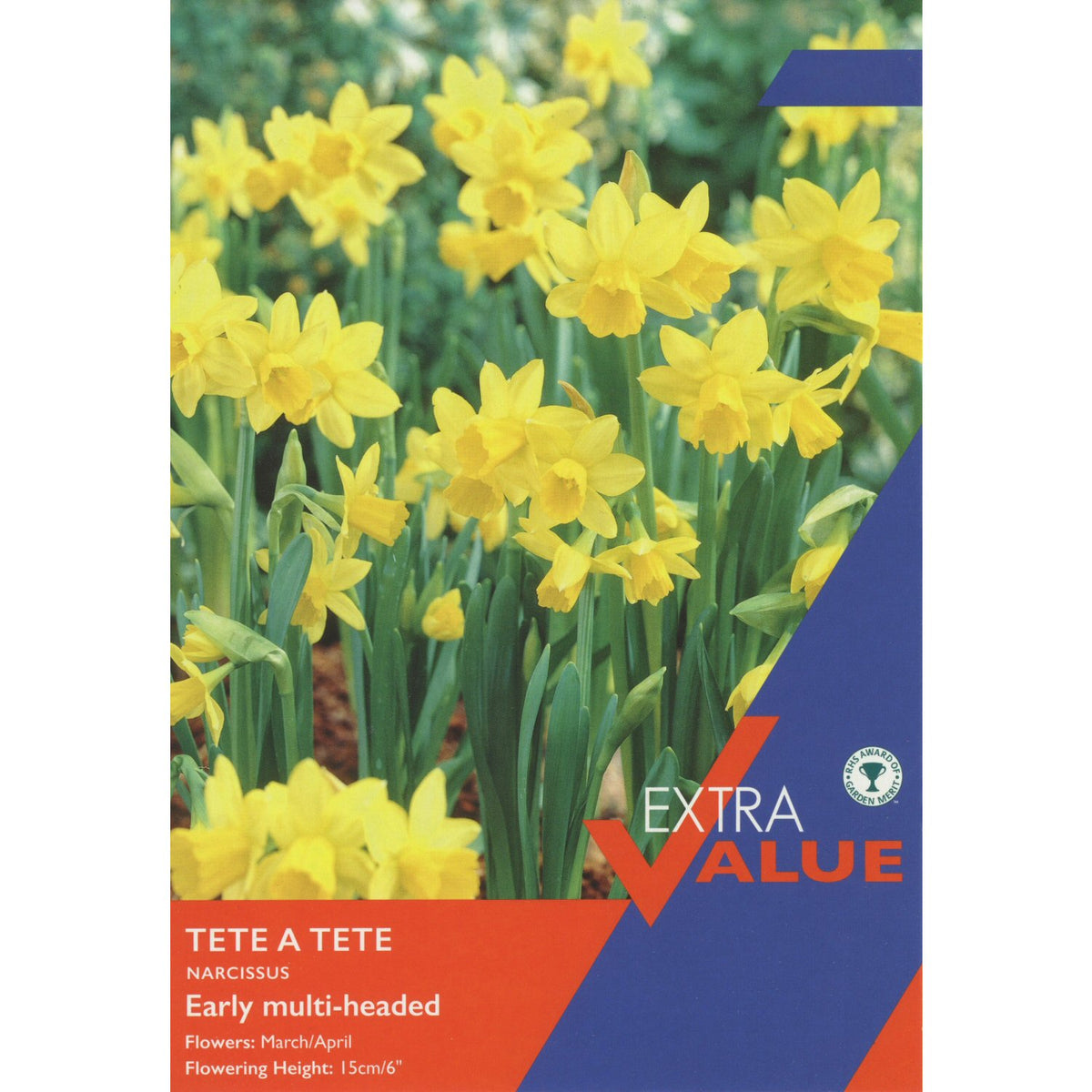 Taylors 35 Tete a Tete Narcissus Daffodil Bulbs