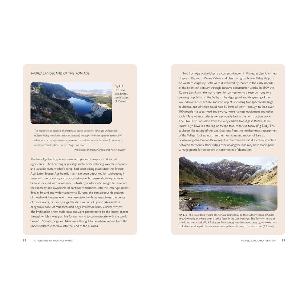 The Hillforts of Iron Age Wales by Toby Driver