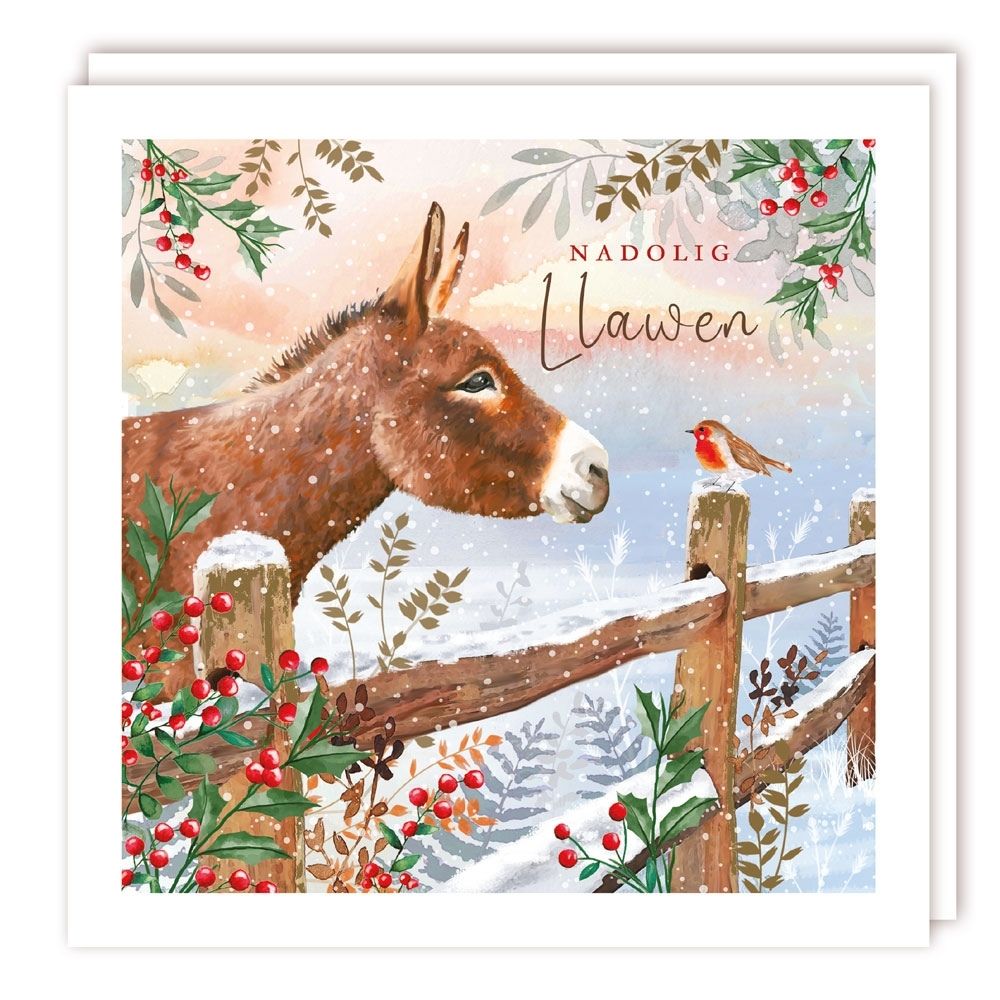 Tracks Publishing Donkey & Robin Welsh Christmas Card - (Pack of 10)