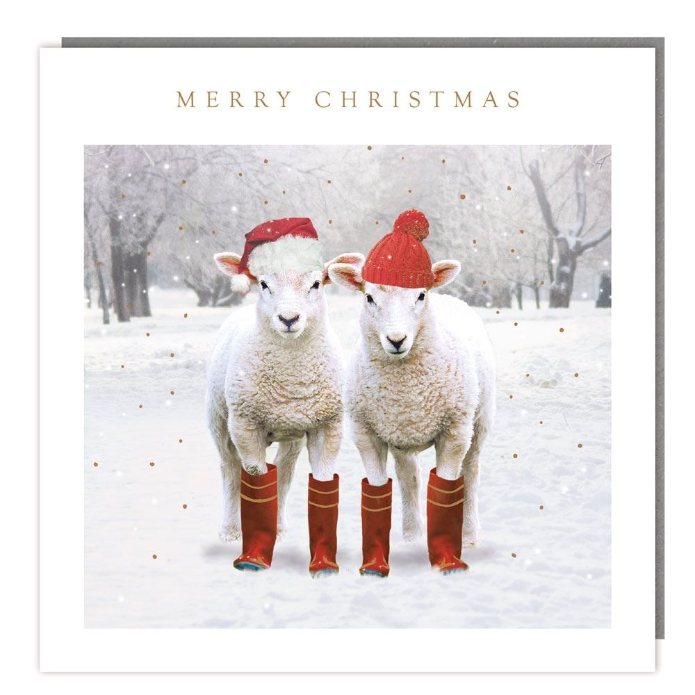 Tracks Publishing Dressed Sheep Welsh Christmas Cards - (Pack of 5)