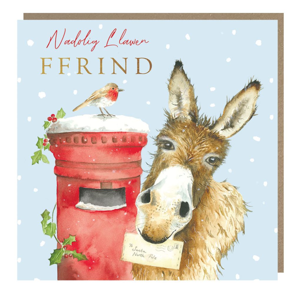 Tracks Publishing Friend Donkey & Robin Welsh Christmas Card