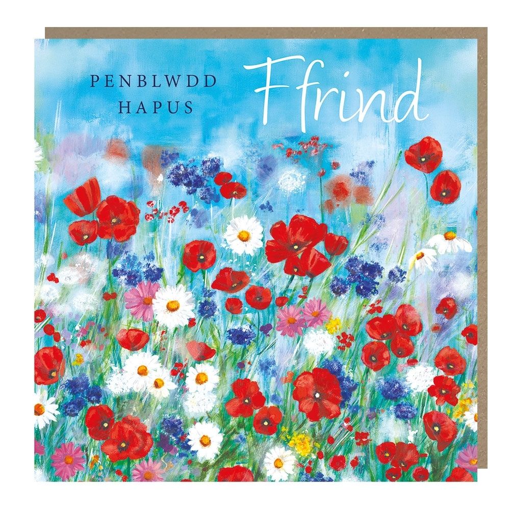 Tracks Publishing Friend Poppies Welsh Birthday Card