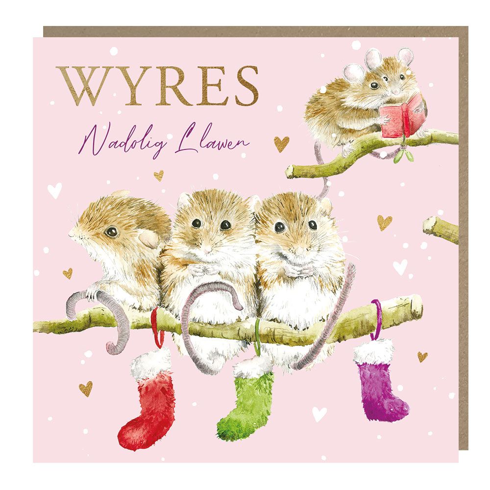Tracks Publishing Granddaughter Field Mice Welsh Christmas Card