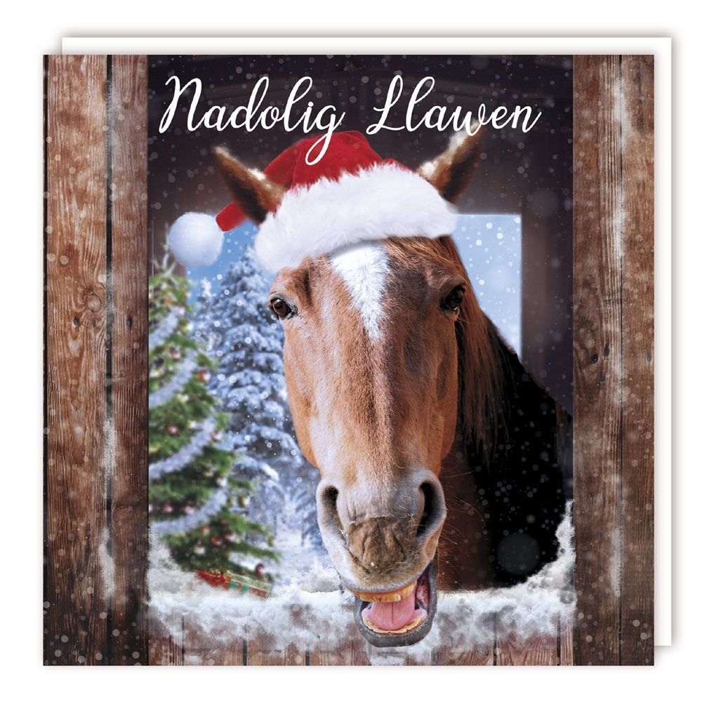 Tracks Publishing Horse in Santa Hat Welsh Christmas Card