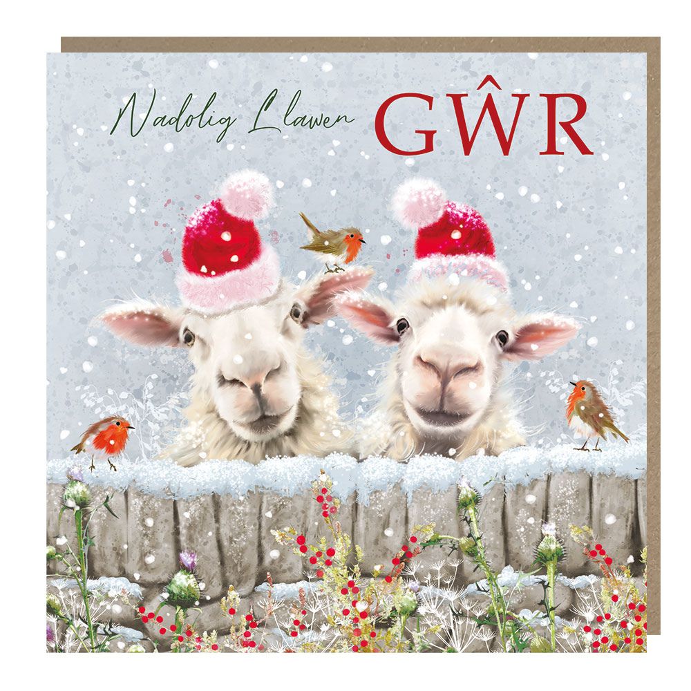Tracks Publishing Husband Sheep in Hats Welsh Christmas Card