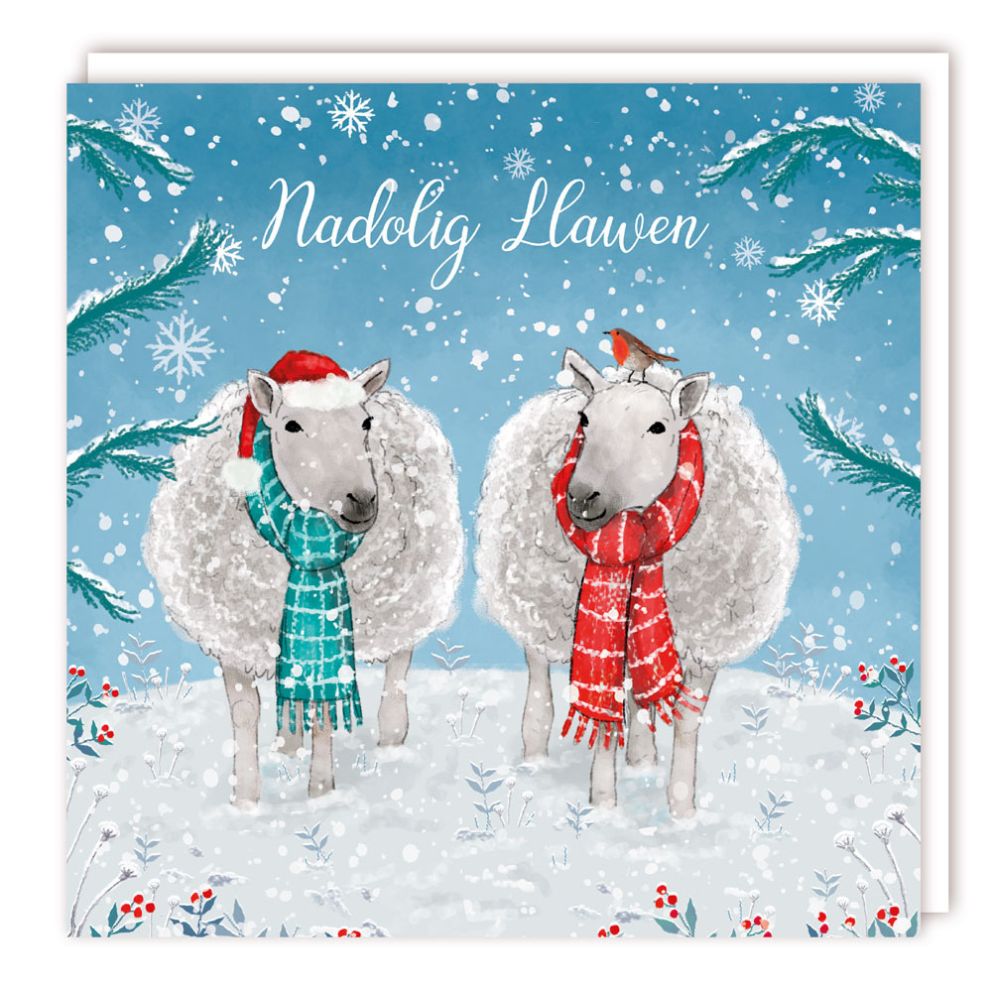 Tracks Publishing Sheep in Scarves Welsh Christmas Card