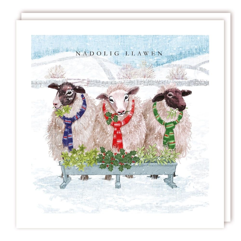 Tracks Publishing Sheep with Holly Welsh Christmas Cards - (Pack of 10)