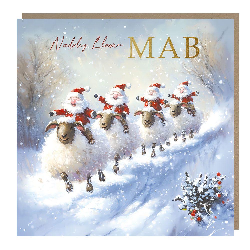 Tracks Publishing Son Sheeple Chase Welsh Christmas Card
