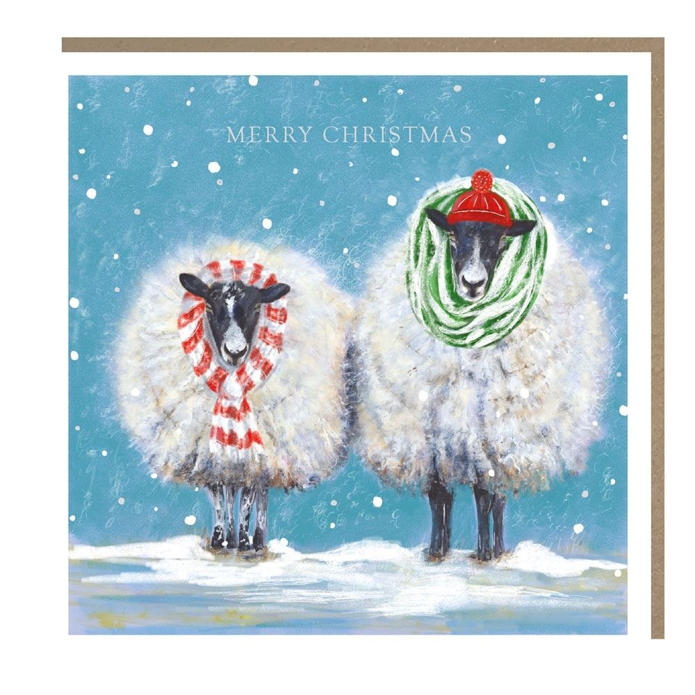 Tracks Publishing Two Sheep in Scarves Welsh Christmas Card