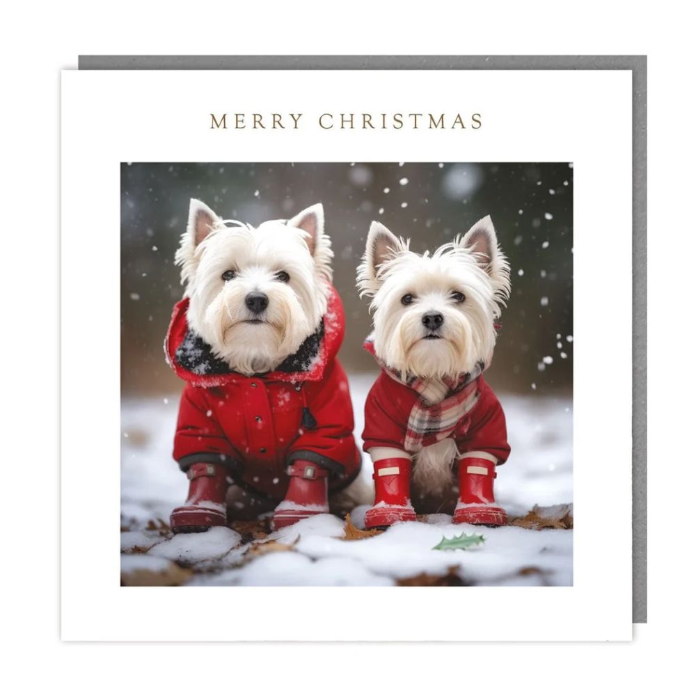 Tracks Westies in Coats Christmas Cards - (Pack of 5)