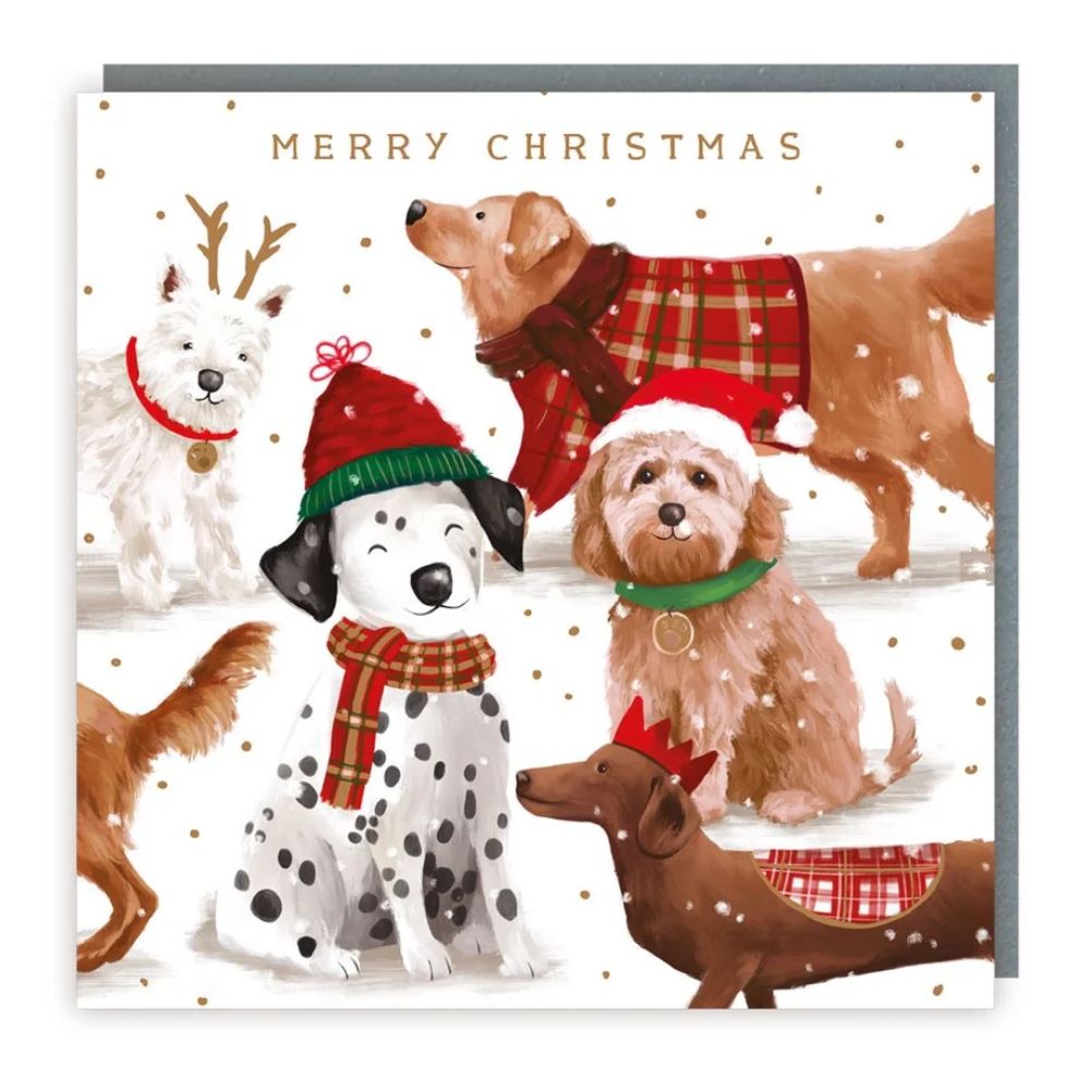 Tracks Xmas Hounds Sparkle Christmas Card -  (Pack of 5)