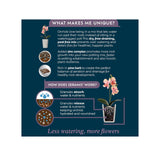 Westland 8L Orchid Potting Mix