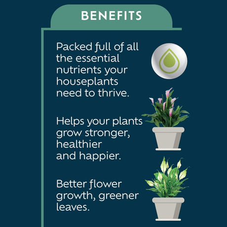 Westland 200ml Houseplant Feed Concentrate