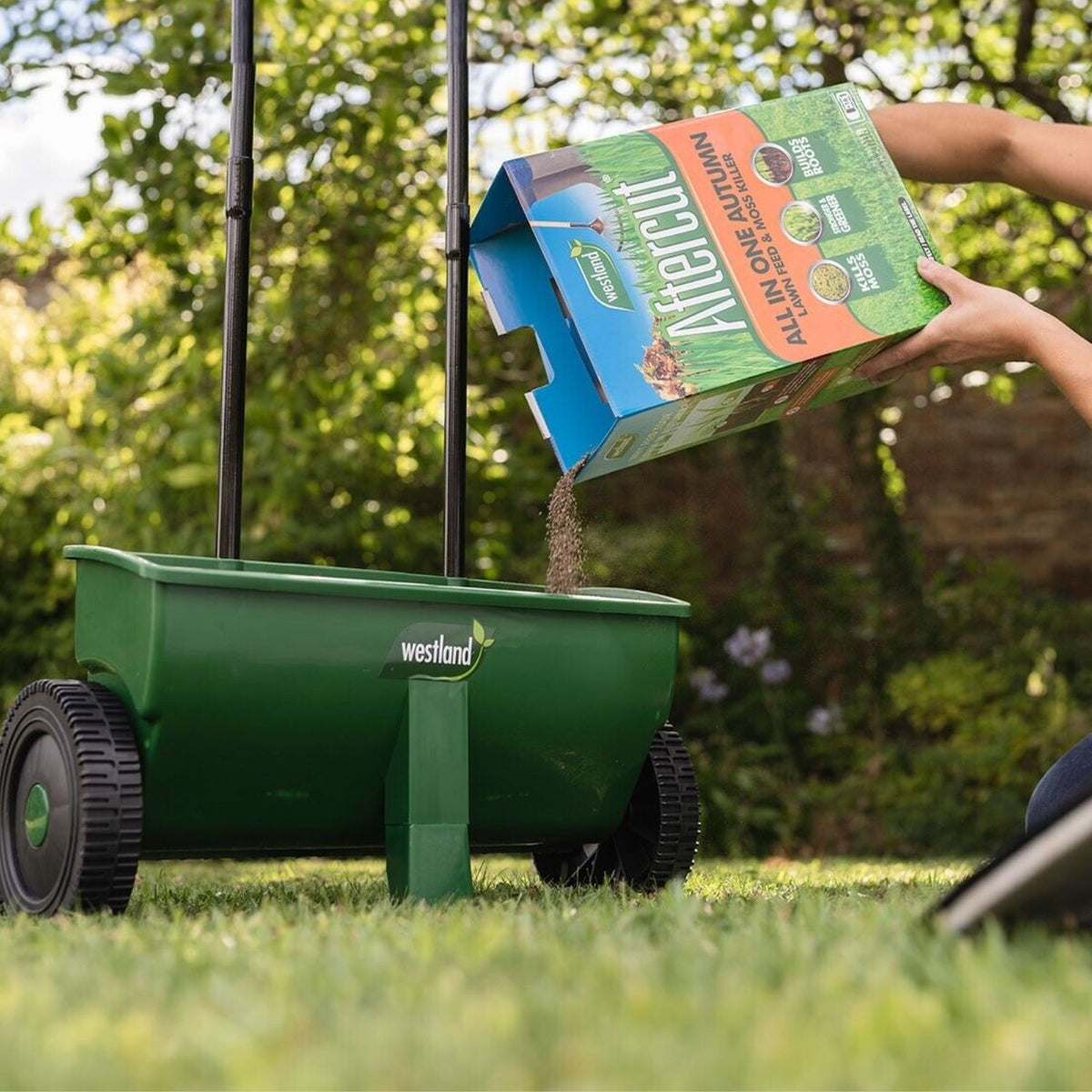 Westland Aftercut All In One Autumn Lawn Care - 80m²