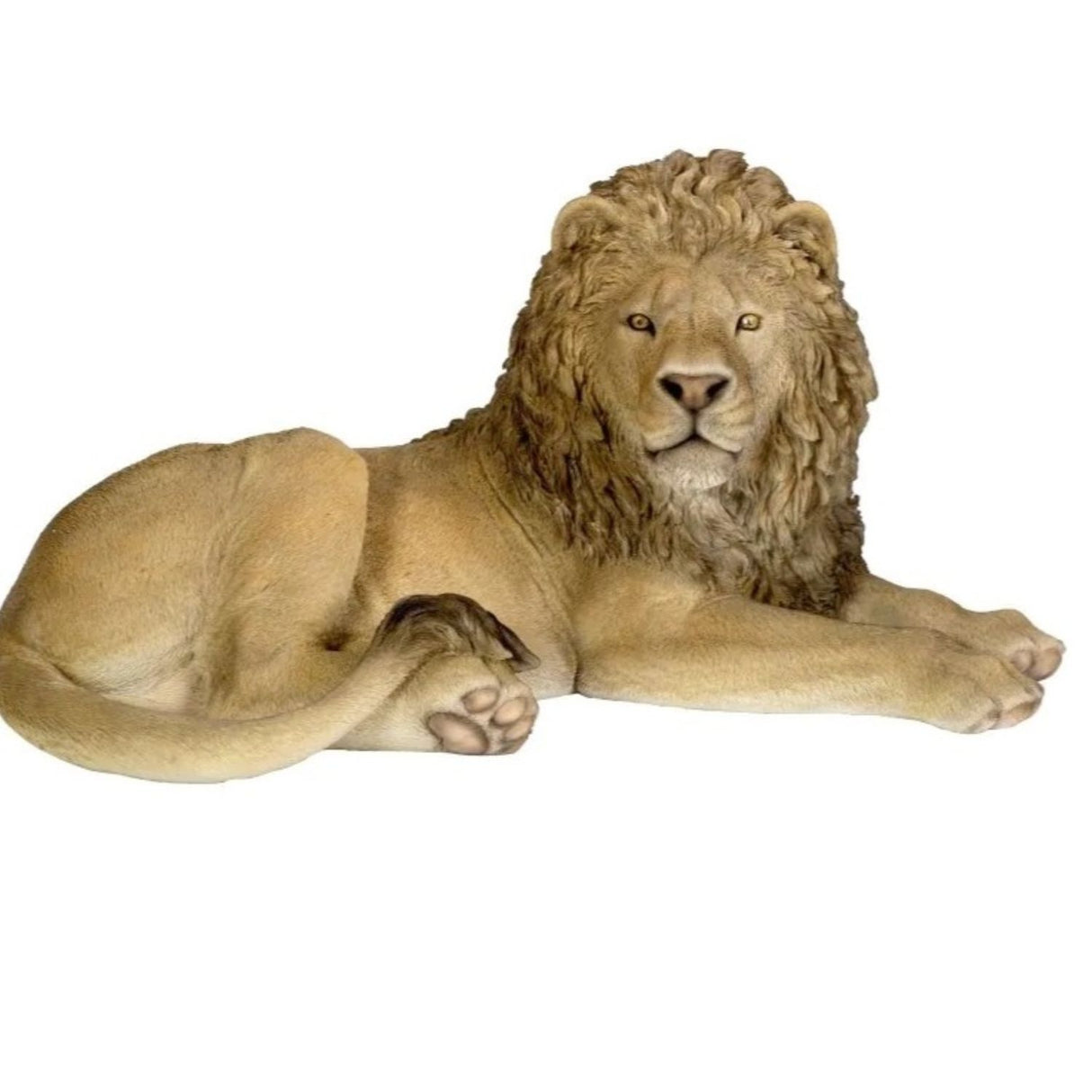 Vivid Arts 50cm Resting Lion Ornament