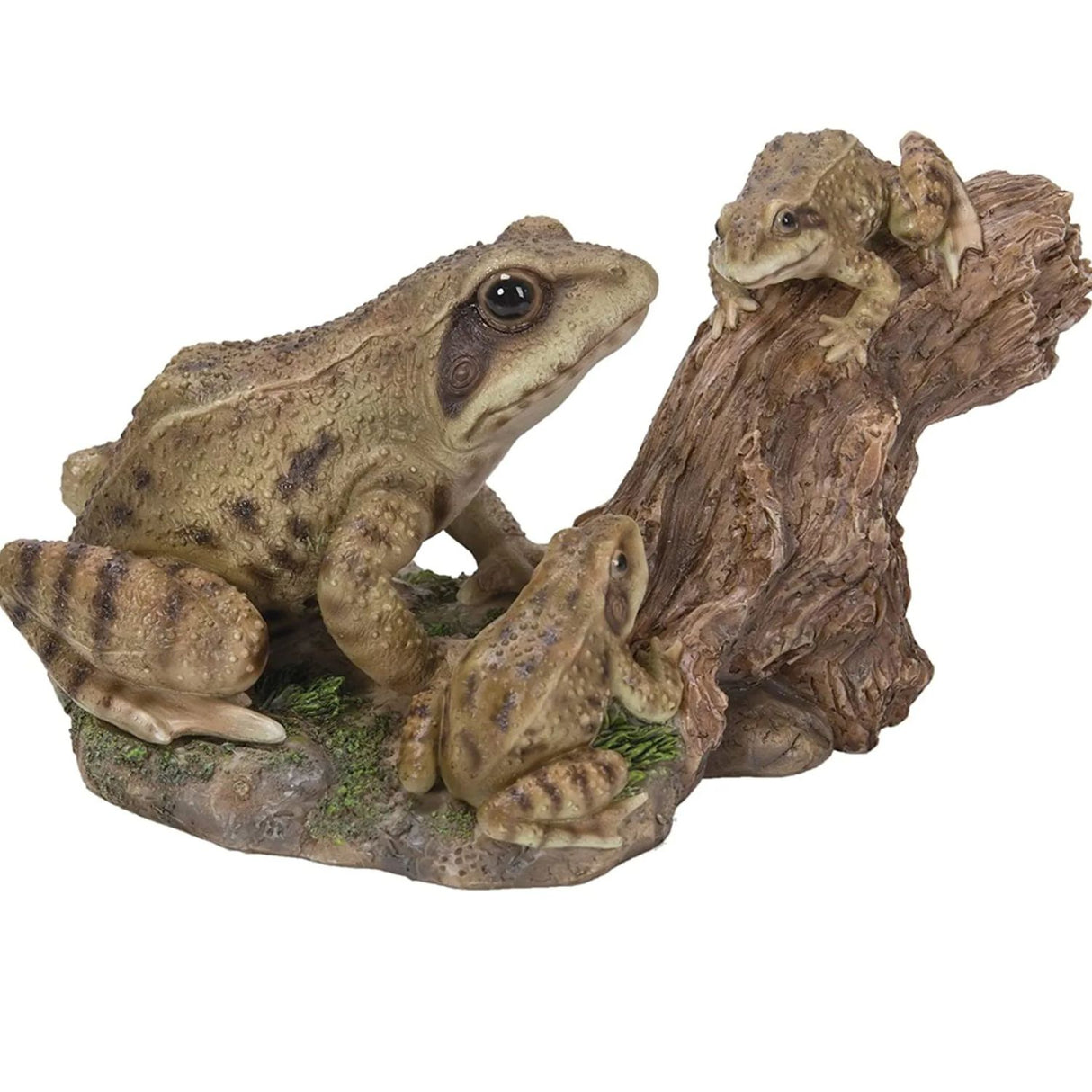 Vivid Arts 20cm Playful Mother and Baby Frogs