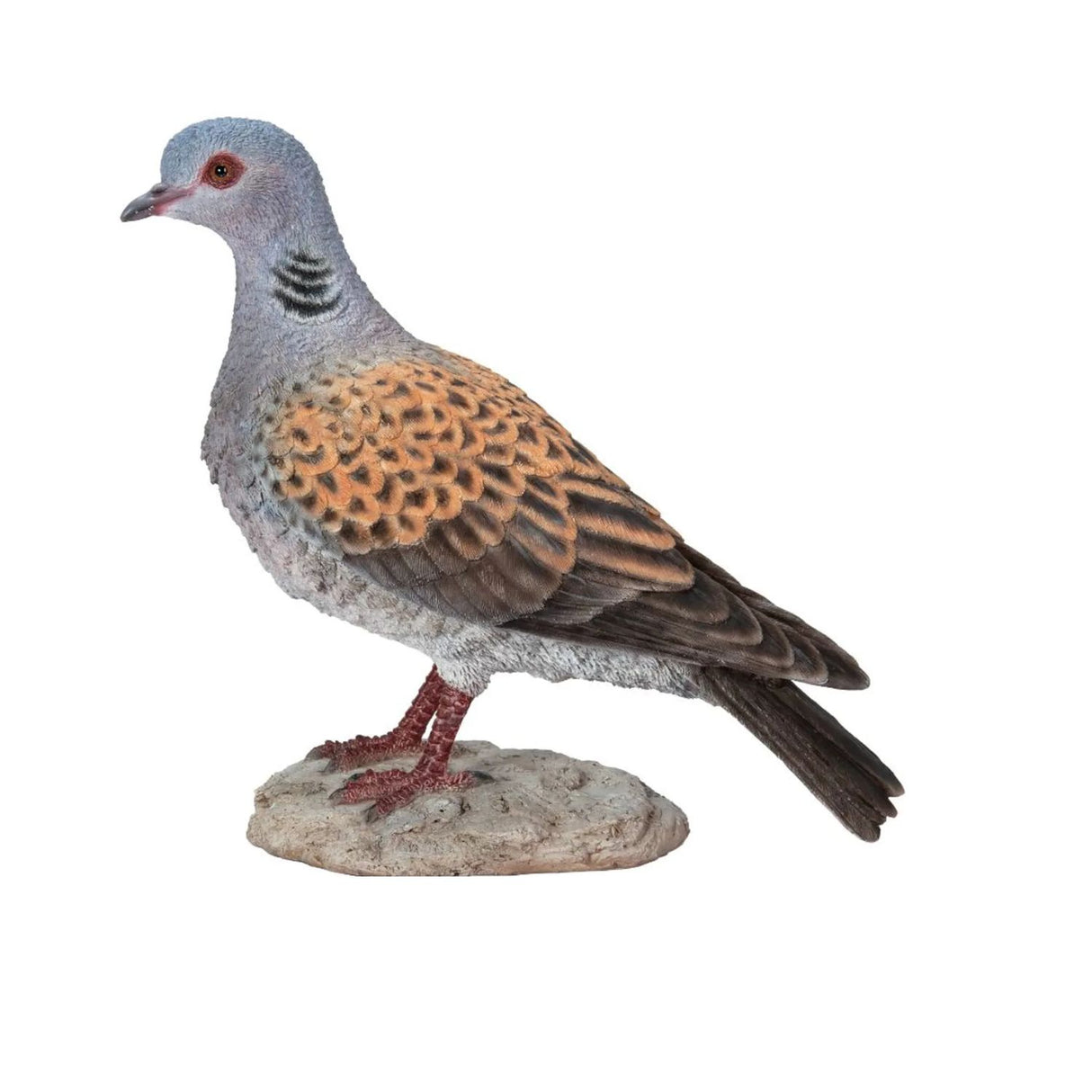 Vivid Arts 19.5cm WBC Turtle Dove