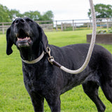 Ancol 150 x 1m Heritage Natural Cotton Rope Lead