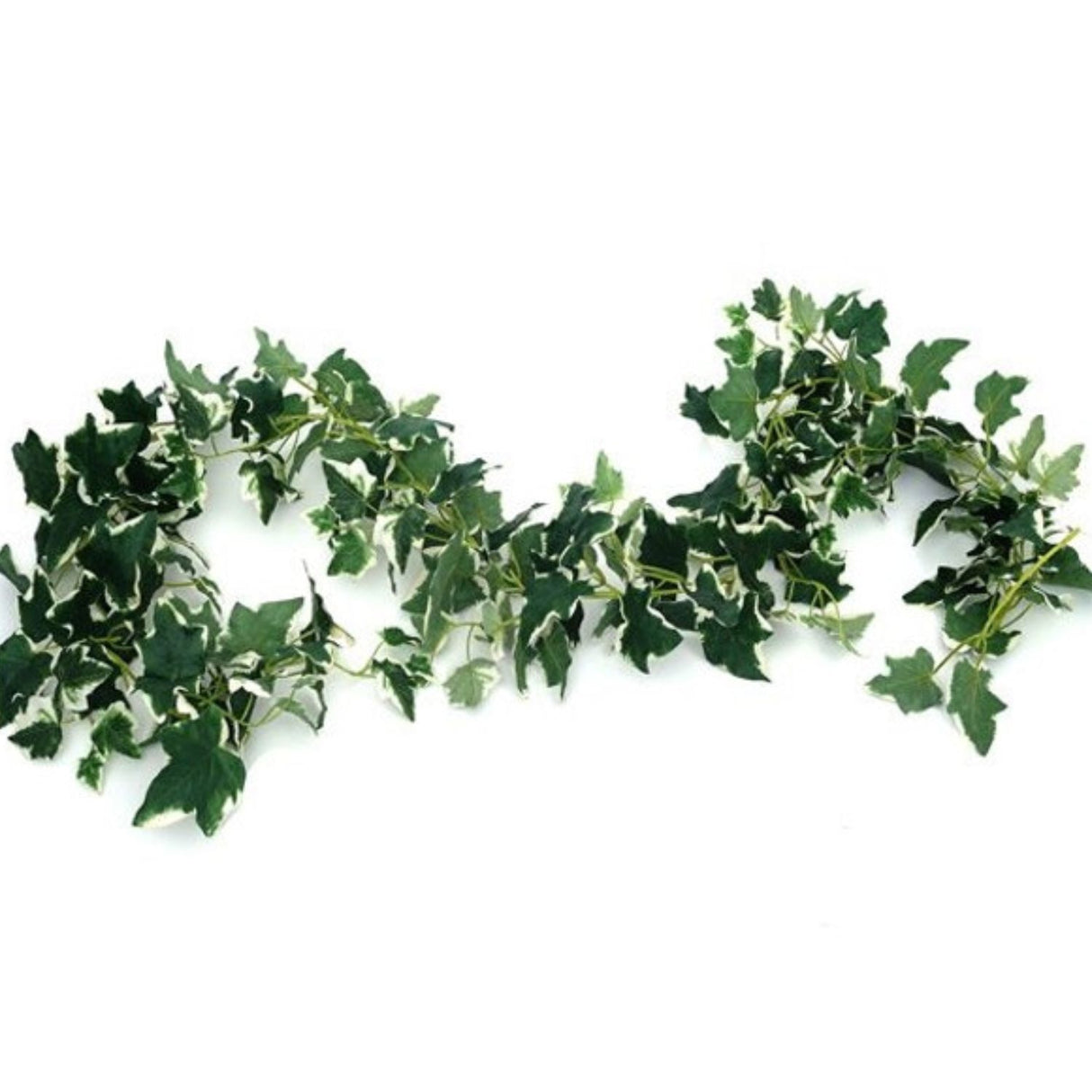 CB Imports 183cm Artificial Variegated Galaxy Ivy