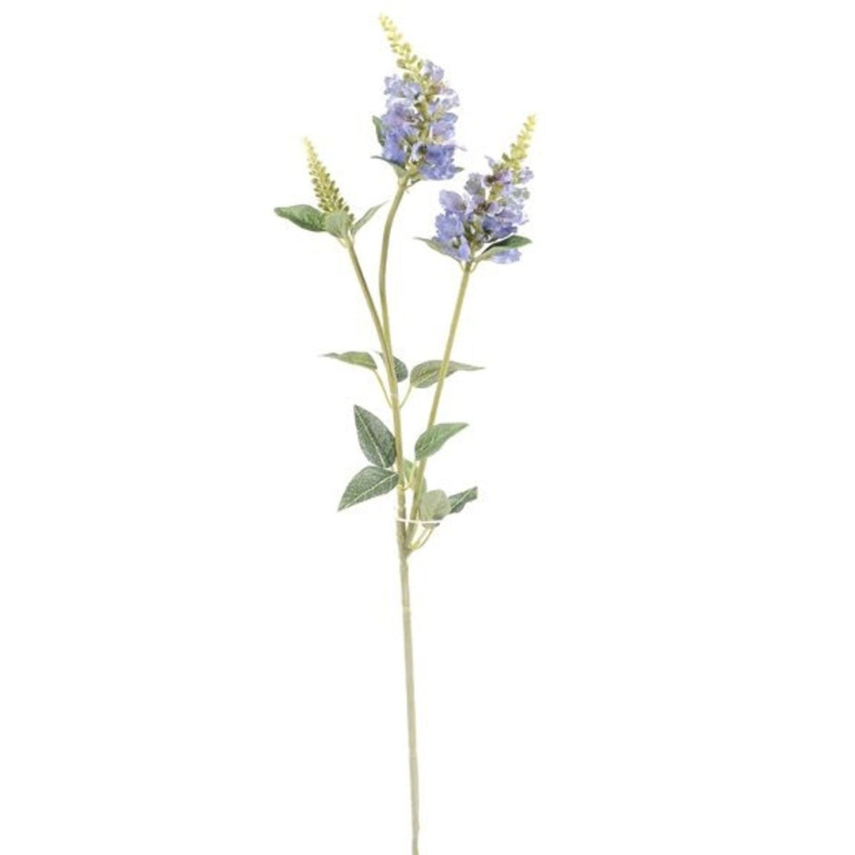 CB Imports 63cm Blue Physostegia Spray