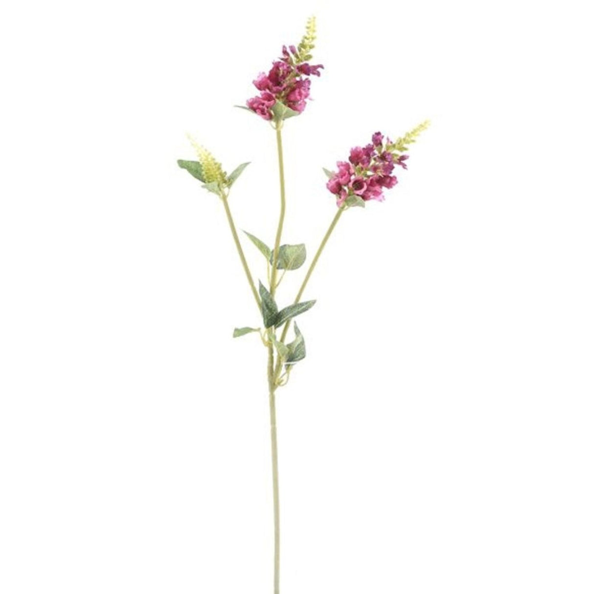 CB Imports 63cm Pink Physostegia Spray