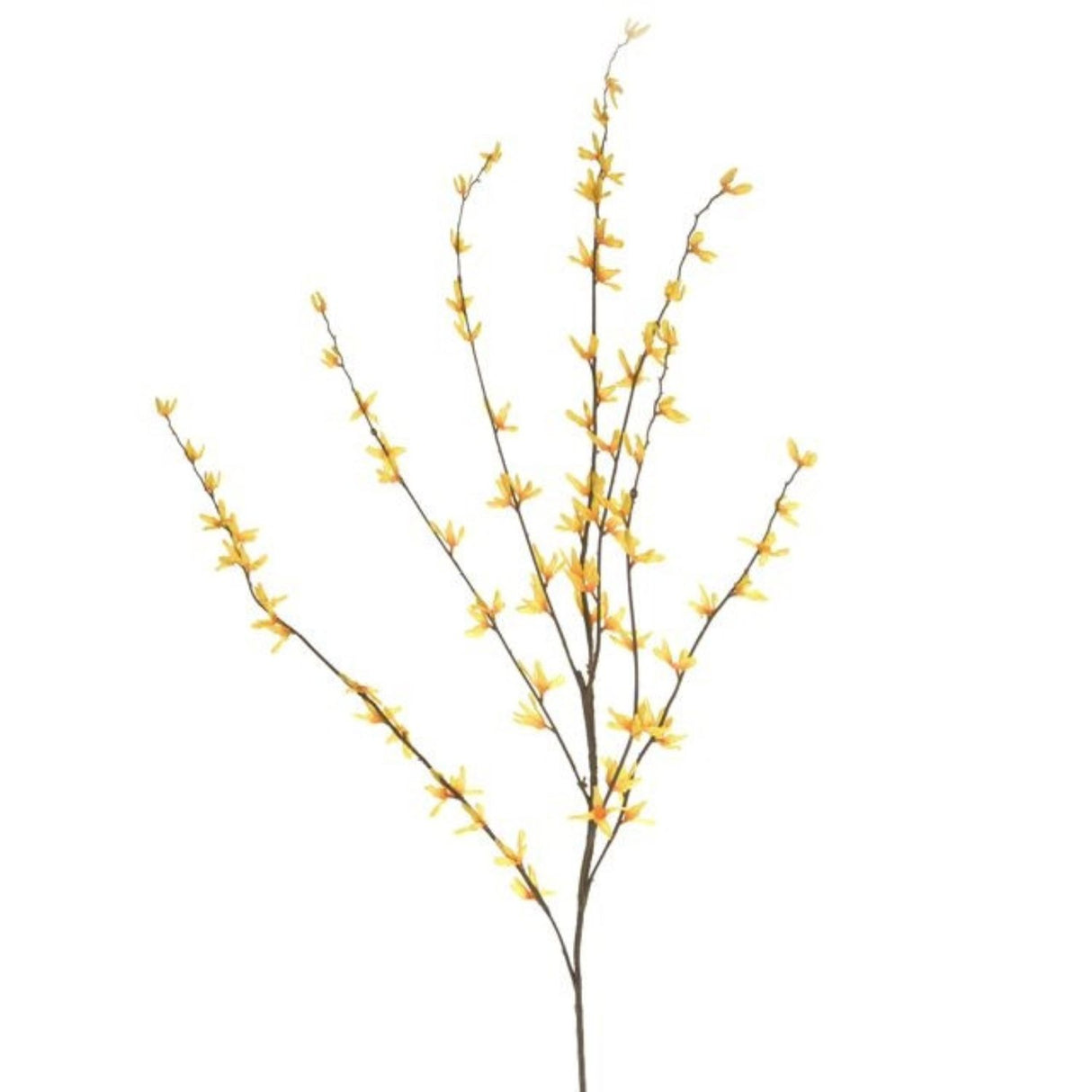 CB Imports 118cm Yellow Forsythia Branch