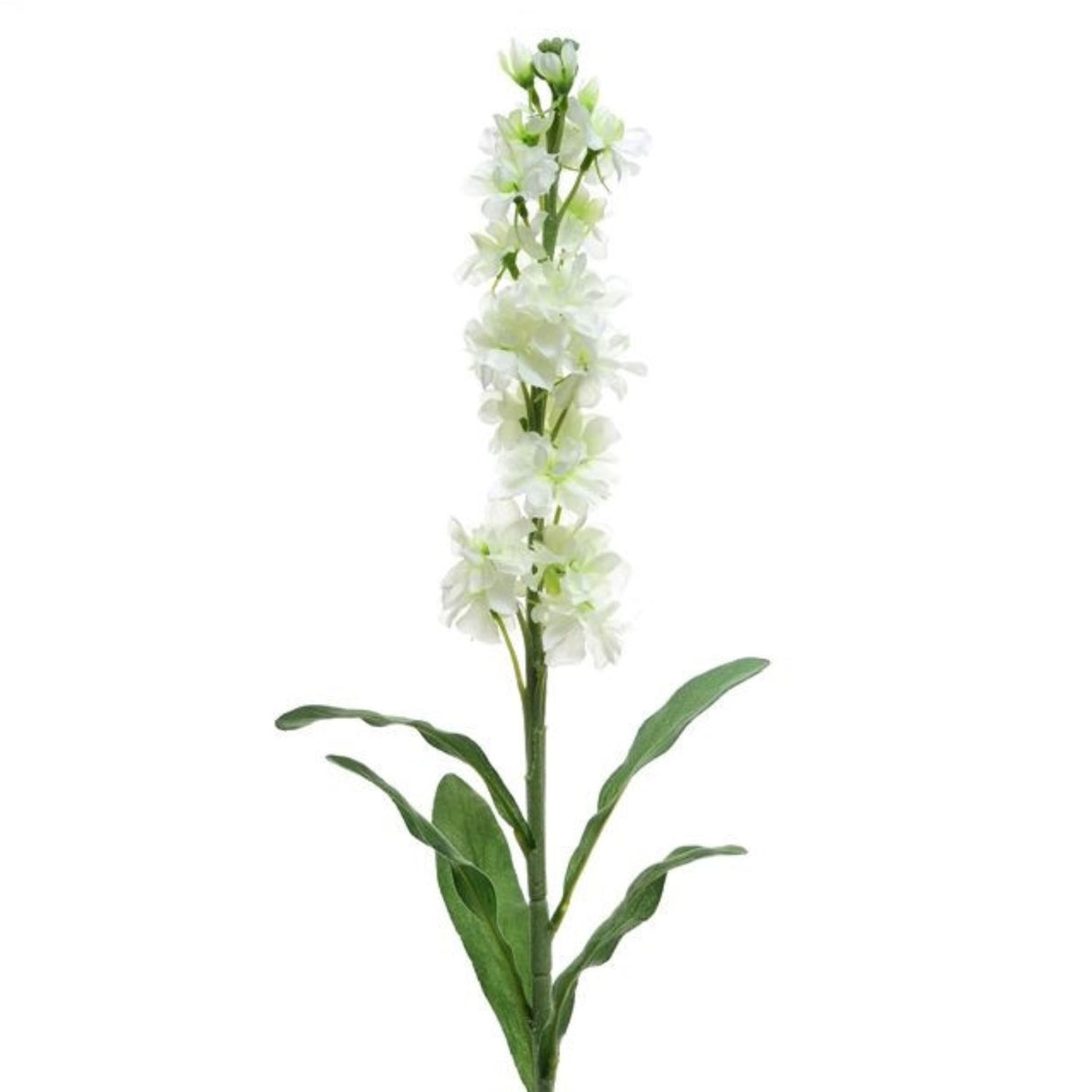 CB Imports 87cm Cream Artificial Stocks Stem