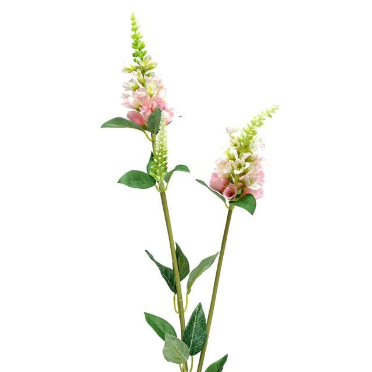 CB Imports Silk Pale Pink Physostegia Spray 63cm