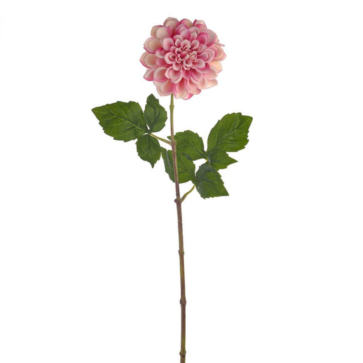 CB Imports Dahlia Stem Pink 60cm