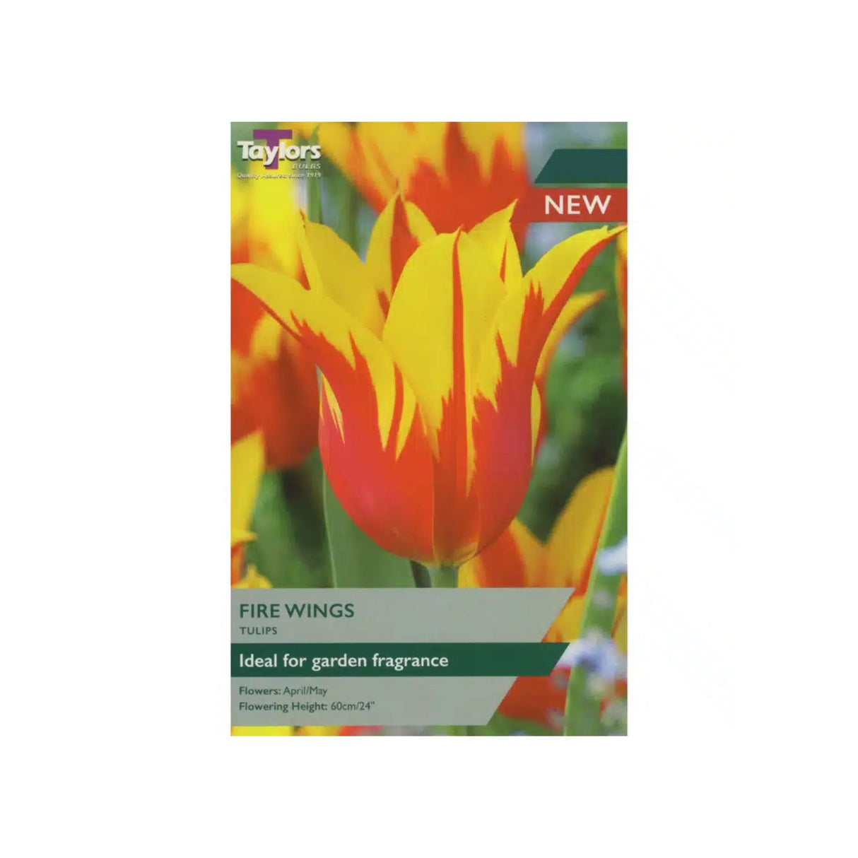 Taylors 5 Tulip Fire Wings