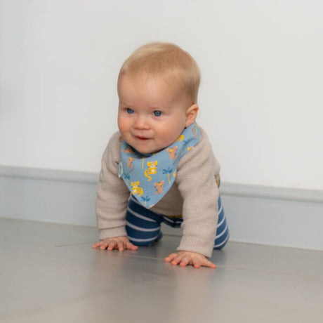 Ziggle Baby Leopards and Tigers Bib Set