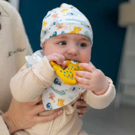 Ziggle Baby Savanna Animals Bib Set