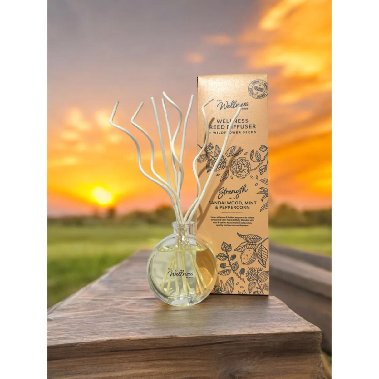 Potters Crouch Strength Sandalwood, Mint & Peppercorn Wellness Reed Diffuser
